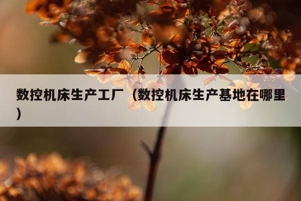 数控机床生产工厂(数控机床生产基地在哪里)