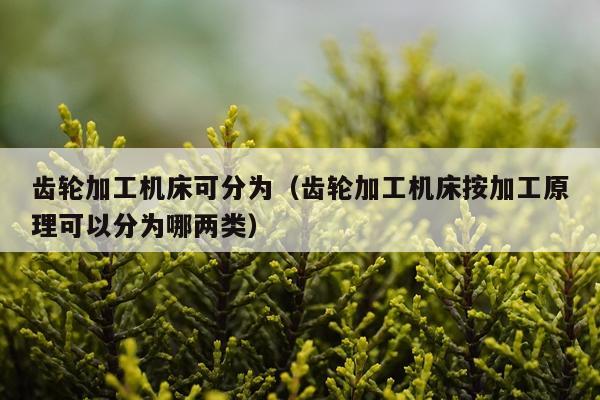 齿轮加工机床可分为（齿轮加工机床按加工原理可以分为哪两类）