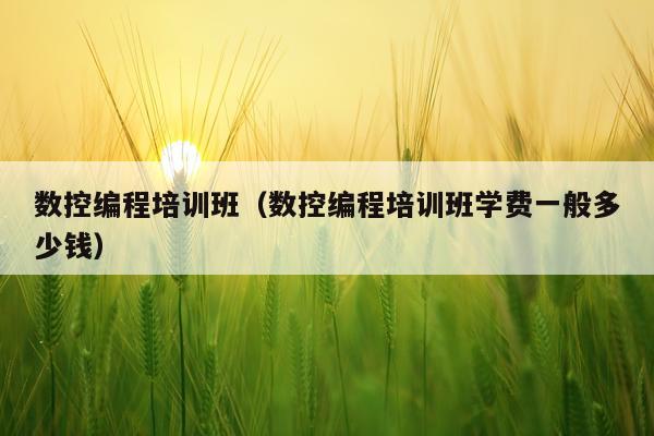 数控编程培训班(数控编程培训班学费一般多少钱)