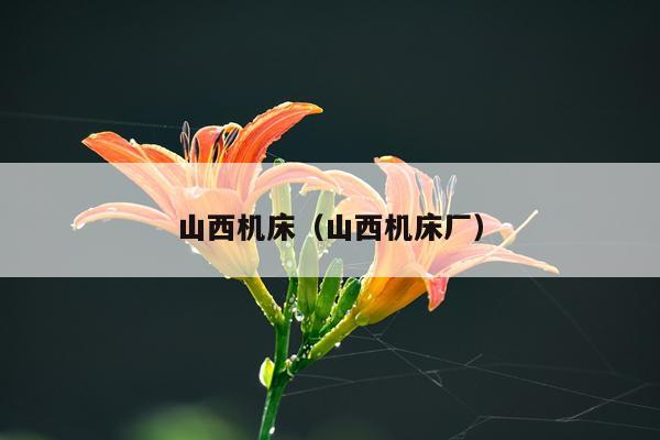 山西机床（山西机床厂）