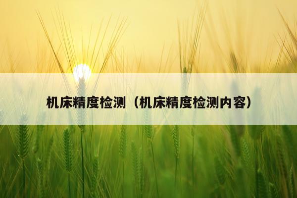 机床精度检测（机床精度检测内容）