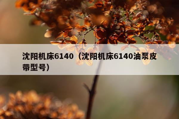 沈阳机床6140(沈阳机床6140油泵皮带型号)