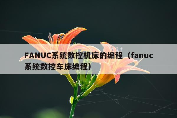 FANUC系统数控机床的编程（fanuc系统数控车床编程）