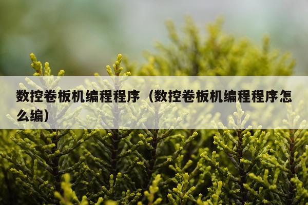 数控卷板机编程程序（数控卷板机编程程序怎么编）