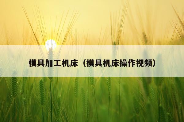 模具加工机床（模具机床操作视频）