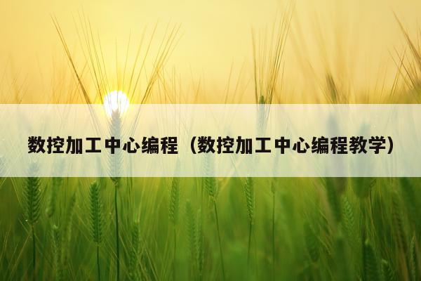 数控加工中心编程（数控加工中心编程教学）
