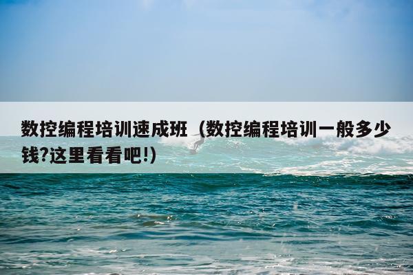 数控编程培训速成班（数控编程培训一般多少钱?这里看看吧!）