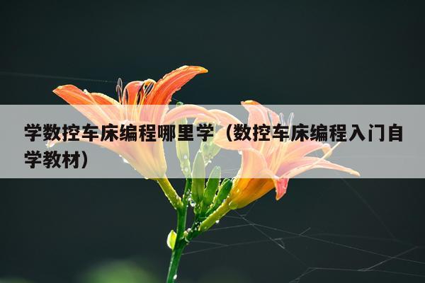 学数控车床编程哪里学（数控车床编程入门自学教材）