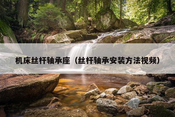 机床丝杆轴承座(丝杆轴承安装方法视频)