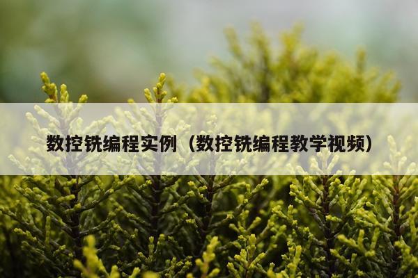 数控铣编程实例（数控铣编程教学视频）