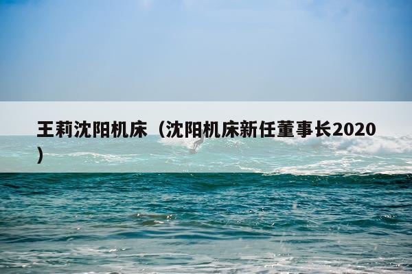 王莉沈阳机床（沈阳机床新任董事长2020）
