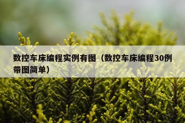 数控车床编程实例有图（数控车床编程30例带图简单）