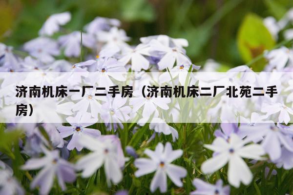 济南机床一厂二手房（济南机床二厂北苑二手房）
