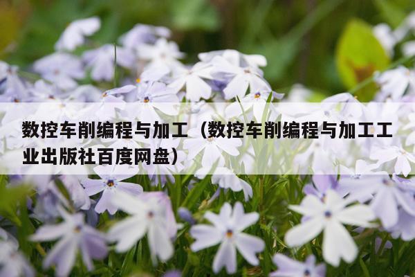 数控车削编程与加工（数控车削编程与加工工业出版社百度网盘）