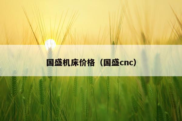 国盛机床价格（国盛cnc）