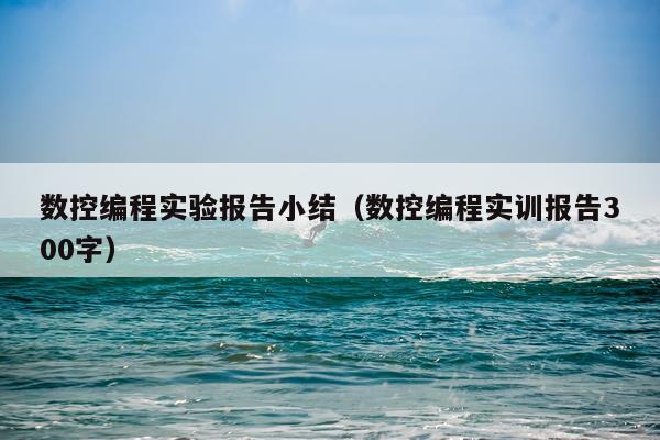 数控编程实验报告小结（数控编程实训报告300字）