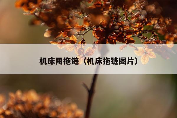 机床用拖链（机床拖链图片）