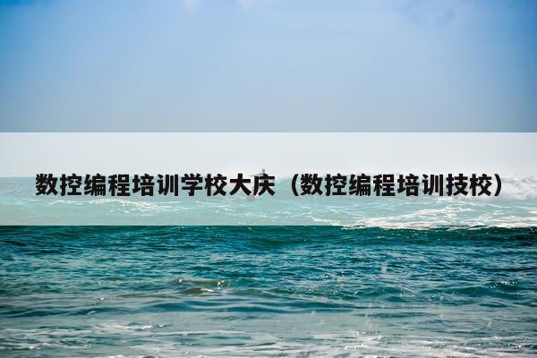 数控编程培训学校大庆(数控编程培训技校)