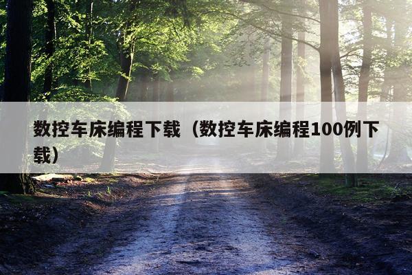数控车床编程下载(数控车床编程100例下载)