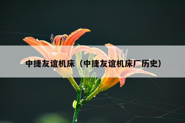 中捷友谊机床（中捷友谊机床厂历史）