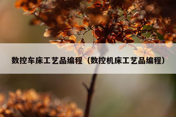 数控车床工艺品编程(数控机床工艺品编程)