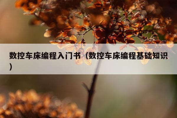 数控车床编程入门书(数控车床编程基础知识)