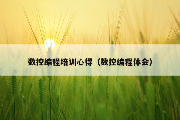 数控编程培训心得(数控编程体会)