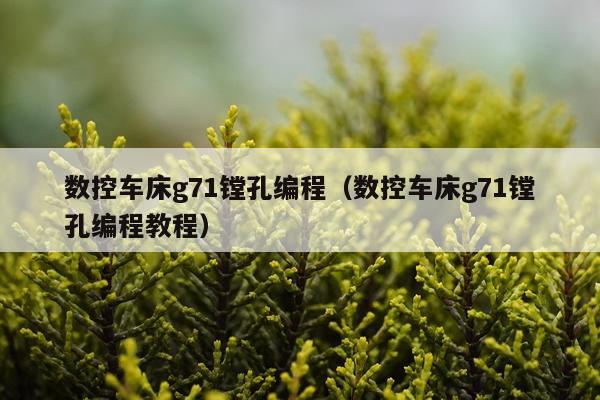 数控车床g71镗孔编程(数控车床g71镗孔编程教程)