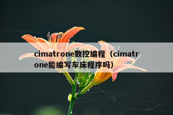 cimatrone数控编程(cimatrone能编写车床程序吗)
