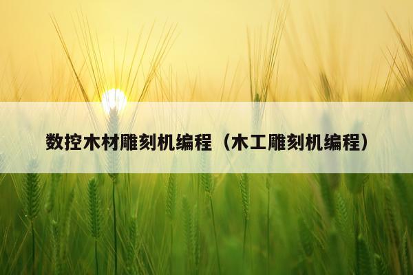数控木材雕刻机编程(木工雕刻机编程)