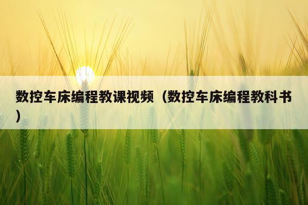 数控车床编程教课视频(数控车床编程教科书)