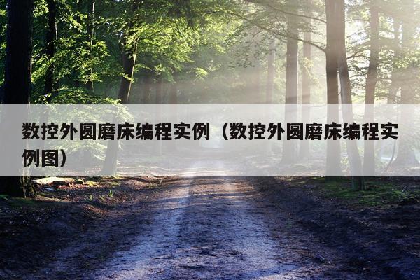 数控外圆磨床编程实例(数控外圆磨床编程实例图)