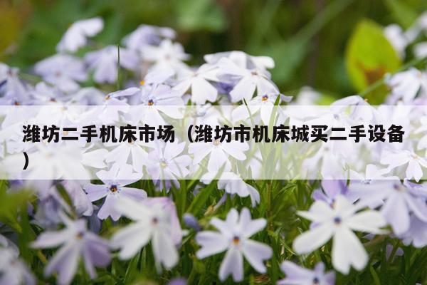 潍坊二手机床市场（潍坊市机床城买二手设备）