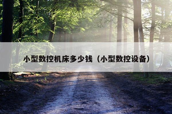 小型数控机床多少钱（小型数控设备）