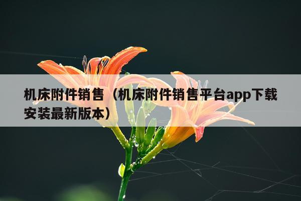 机床附件销售（机床附件销售平台app下载安装最新版本）