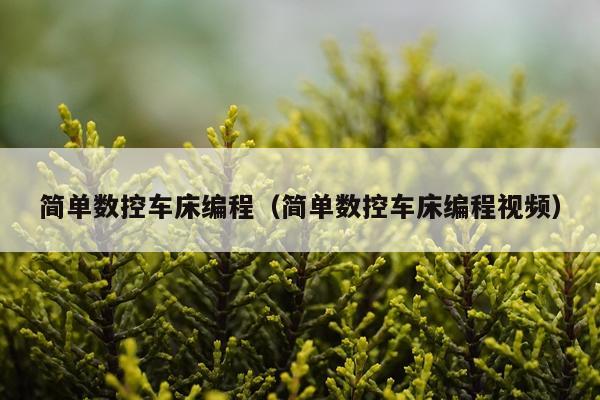 简单数控车床编程（简单数控车床编程视频）