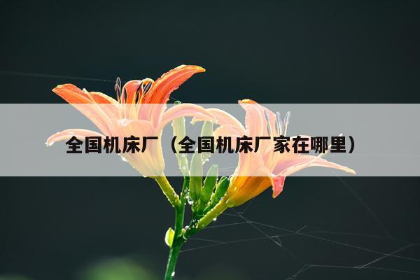 全国机床厂（全国机床厂家在哪里）