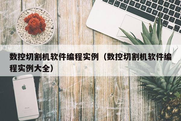 数控切割机软件编程实例（数控切割机软件编程实例大全）