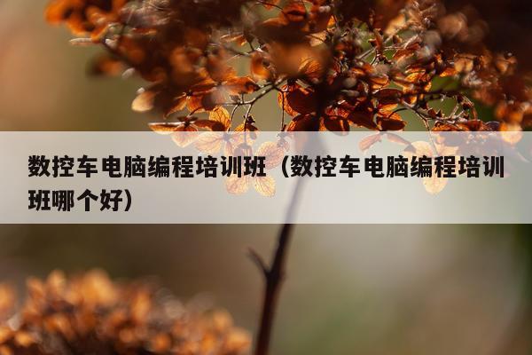 数控车电脑编程培训班（数控车电脑编程培训班哪个好）