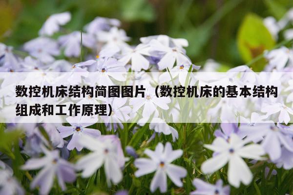 数控机床结构简图图片（数控机床的基本结构组成和工作原理）