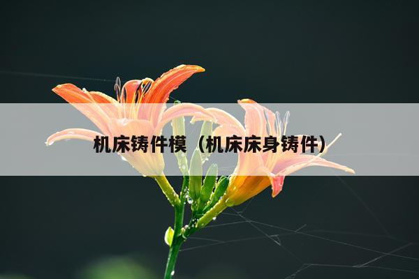 机床铸件模（机床床身铸件）