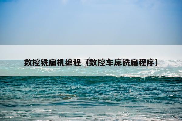 数控铣扁机编程（数控车床铣扁程序）