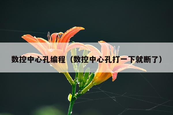数控中心孔编程（数控中心孔打一下就断了）