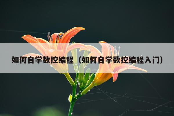 如何自学数控编程（如何自学数控编程入门）
