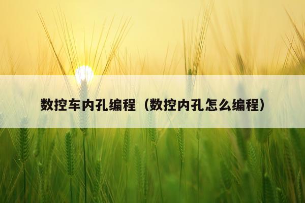 数控车内孔编程（数控内孔怎么编程）