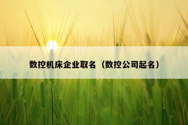 数控机床企业取名（数控公司起名）