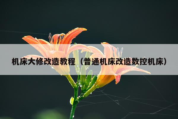机床大修改造教程(普通机床改造数控机床)