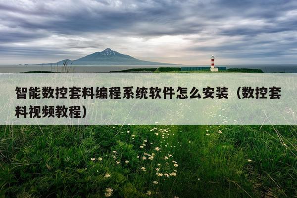 智能数控套料编程系统软件怎么安装(数控套料视频教程)