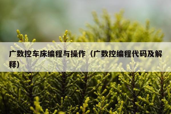广数控车床编程与操作(广数控编程代码及解释)
