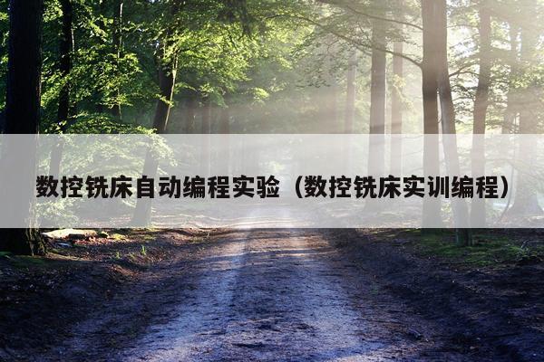数控铣床自动编程实验（数控铣床实训编程）